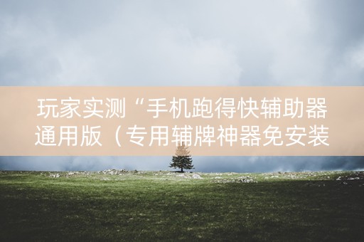玩家实测“手机跑得快辅助器通用版（专用辅牌神器免安装）