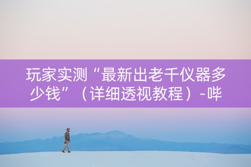 玩家实测“最新出老千仪器多少钱”（详细透视教程）-哔哩哔哩