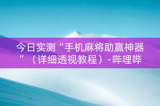 今日实测“手机麻将助赢神器”（详细透视教程）-哔哩哔哩