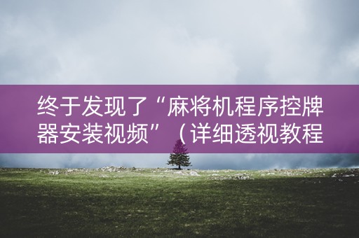 终于发现了“麻将机程序控牌器安装视频”（详细透视教程）-哔哩哔哩