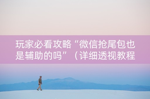 玩家必看攻略“微信抢尾包也是辅助的吗”（详细透视教程）-哔哩哔哩