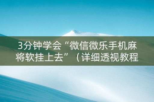 3分钟学会“微信微乐手机麻将软挂上去”（详细透视教程）-哔哩哔哩