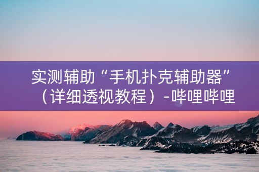 实测辅助“手机扑克辅助器”（详细透视教程）-哔哩哔哩