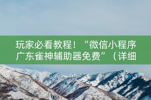 玩家必看教程！“微信小程序广东雀神辅助器免费”（详细透视教程）-哔哩哔哩