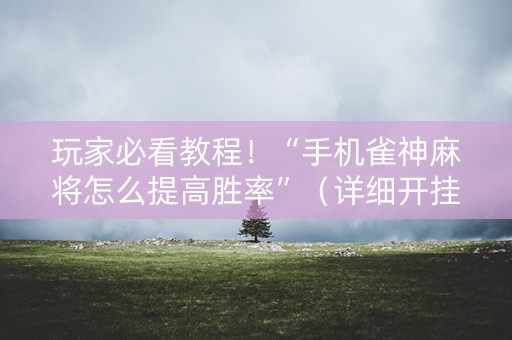 玩家必看教程！“手机雀神麻将怎么提高胜率”（详细开挂教程）-哔哩哔哩