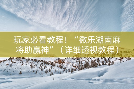 玩家必看教程！“微乐湖南麻将助赢神”（详细透视教程）-哔哩哔哩