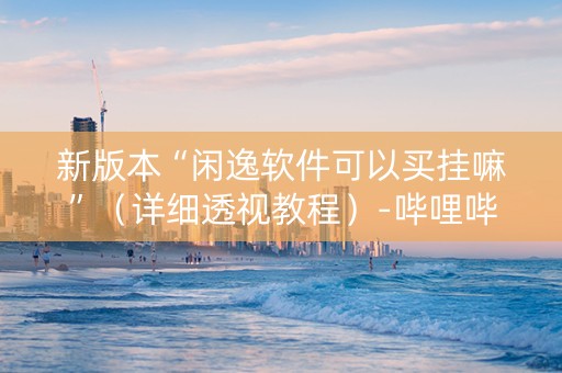 新版本“闲逸软件可以买挂嘛”（详细透视教程）-哔哩哔哩