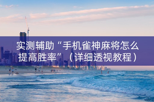 实测辅助“手机雀神麻将怎么提高胜率”（详细透视教程）-哔哩哔哩