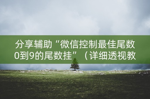 分享辅助“微信控制最佳尾数0到9的尾数挂”（详细透视教程）-哔哩哔哩
