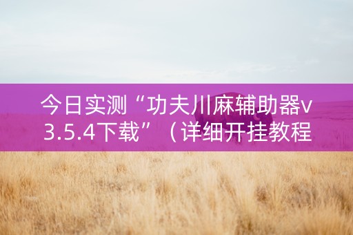 今日实测“功夫川麻辅助器v3.5.4下载”（详细开挂教程）-哔哩哔哩