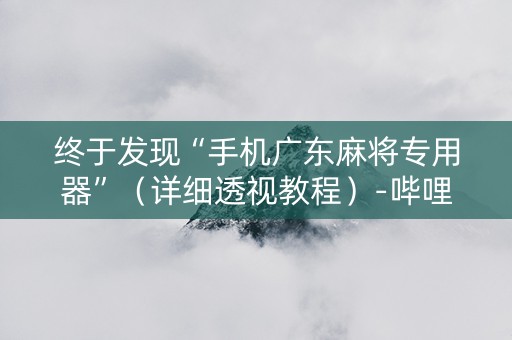 终于发现“手机广东麻将专用器”（详细透视教程）-哔哩哔哩