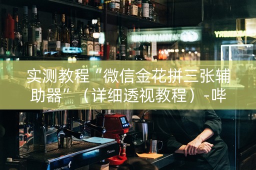 实测教程“微信金花拼三张辅助器”（详细透视教程）-哔哩哔哩