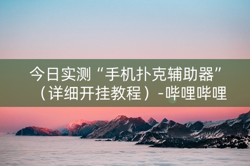 今日实测“手机扑克辅助器”（详细开挂教程）-哔哩哔哩