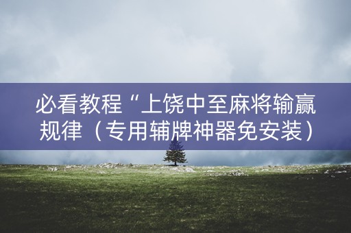 必看教程“上饶中至麻将输赢规律（专用辅牌神器免安装）
