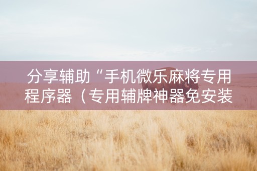 分享辅助“手机微乐麻将专用程序器（专用辅牌神器免安装）