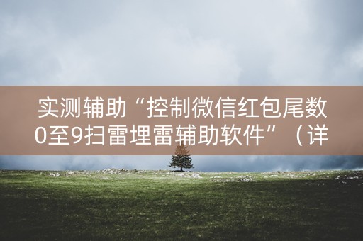 实测辅助“控制微信红包尾数0至9扫雷埋雷辅助软件”（详细透视教程）-哔哩哔哩