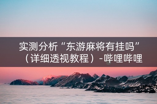 实测分析“东游麻将有挂吗”（详细透视教程）-哔哩哔哩