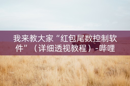 我来教大家“红包尾数控制软件”（详细透视教程）-哔哩哔哩