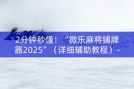 2分钟秒懂！“微乐麻将铺牌器2025”（详细辅助教程）-哔哩哔哩