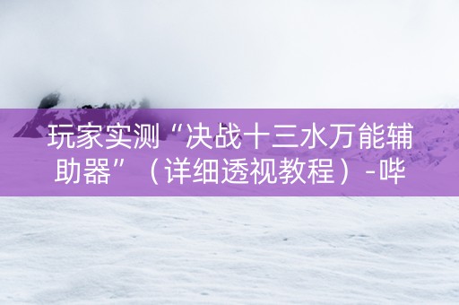 玩家实测“决战十三水万能辅助器”（详细透视教程）-哔哩哔哩
