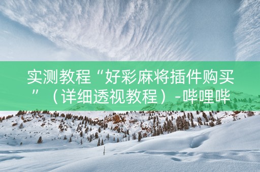 实测教程“好彩麻将插件购买”（详细透视教程）-哔哩哔哩