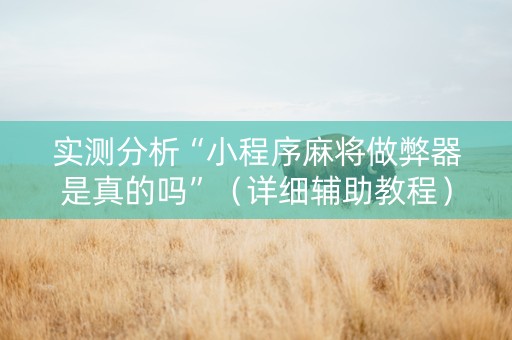 实测分析“小程序麻将做弊器是真的吗”（详细辅助教程）-哔哩哔哩