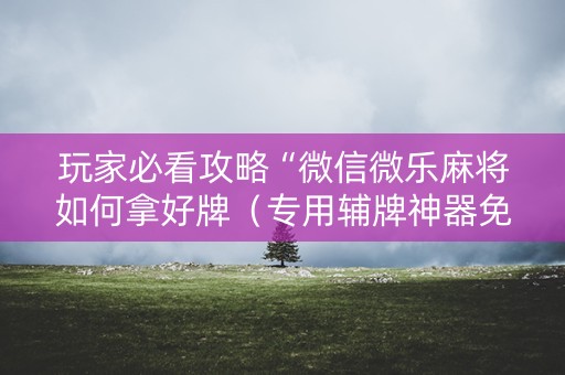 玩家必看攻略“微信微乐麻将如何拿好牌（专用辅牌神器免安装）