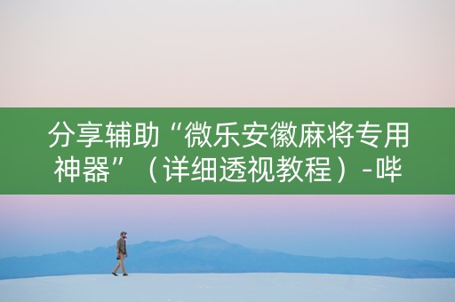 分享辅助“微乐安徽麻将专用神器”（详细透视教程）-哔哩哔哩