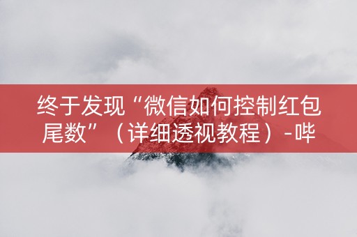 终于发现“微信如何控制红包尾数”（详细透视教程）-哔哩哔哩