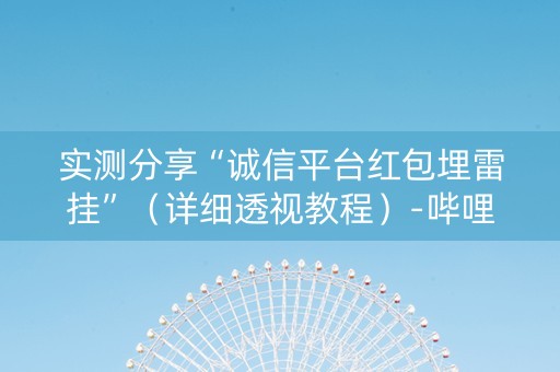 实测分享“诚信平台红包埋雷挂”（详细透视教程）-哔哩哔哩