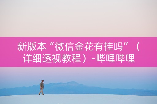 新版本“微信金花有挂吗”（详细透视教程）-哔哩哔哩