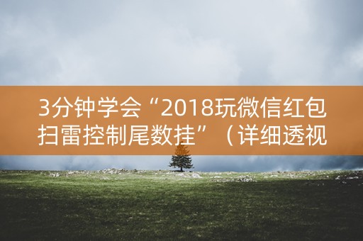3分钟学会“2018玩微信红包扫雷控制尾数挂”（详细透视教程）-哔哩哔哩