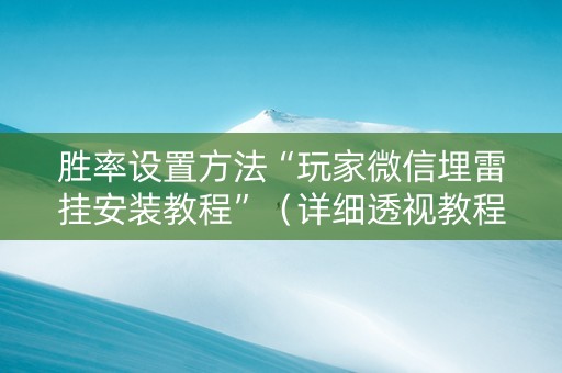 胜率设置方法“玩家微信埋雷挂安装教程”（详细透视教程）-哔哩哔哩