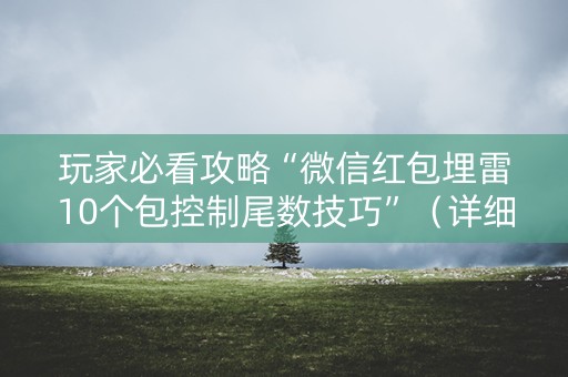 玩家必看攻略“微信红包埋雷10个包控制尾数技巧”（详细透视教程）-哔哩哔哩