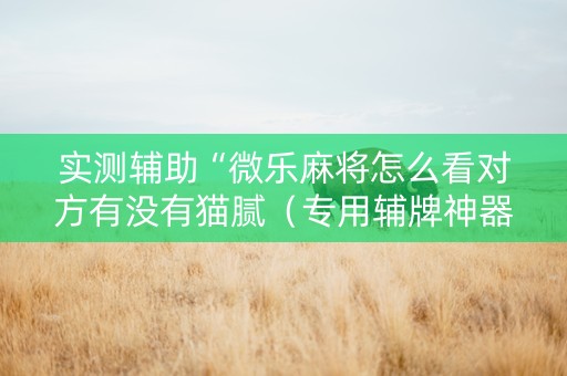实测辅助“微乐麻将怎么看对方有没有猫腻（专用辅牌神器免安装）