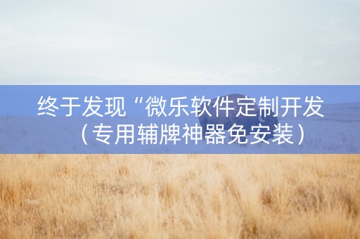 终于发现“微乐软件定制开发（专用辅牌神器免安装）