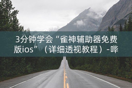 3分钟学会“雀神辅助器免费版ios”（详细透视教程）-哔哩哔哩
