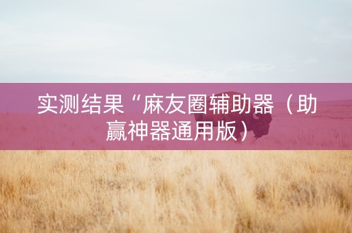 实测结果“麻友圈辅助器（助赢神器通用版）