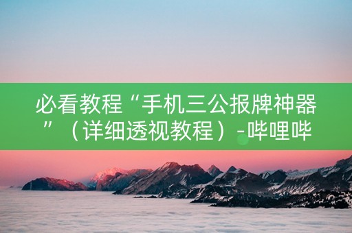 必看教程“手机三公报牌神器”（详细透视教程）-哔哩哔哩