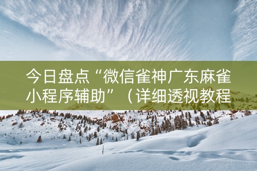 今日盘点“微信雀神广东麻雀小程序辅助”（详细透视教程）-哔哩哔哩