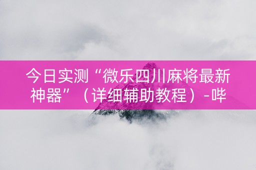 今日实测“微乐四川麻将最新神器”（详细辅助教程）-哔哩哔哩