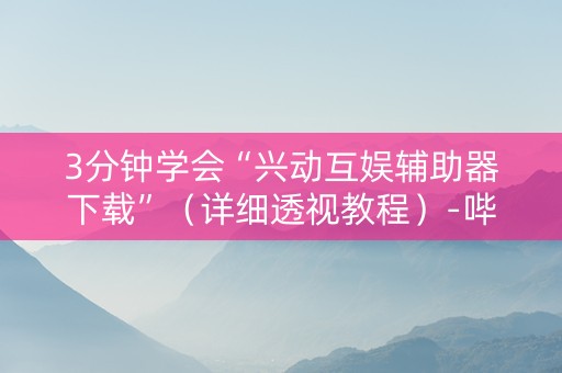 3分钟学会“兴动互娱辅助器下载”（详细透视教程）-哔哩哔哩