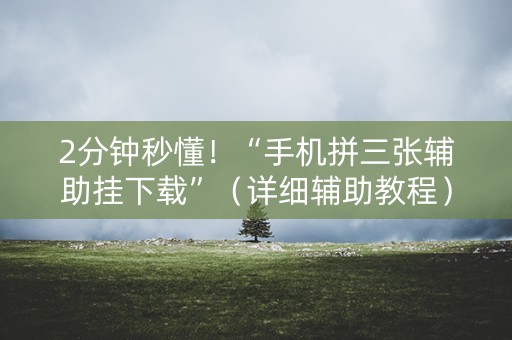 2分钟秒懂！“手机拼三张辅助挂下载”（详细辅助教程）-哔哩哔哩