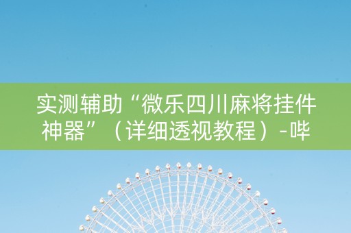 实测辅助“微乐四川麻将挂件神器”（详细透视教程）-哔哩哔哩