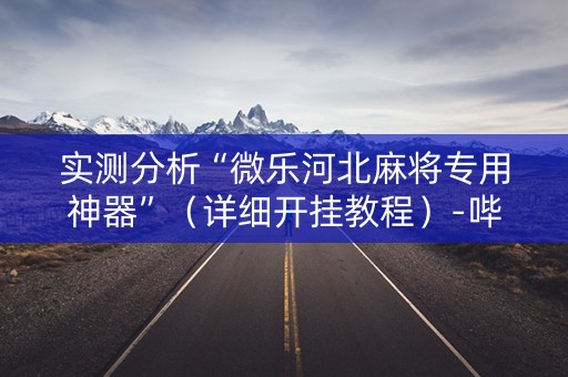 实测分析“微乐河北麻将专用神器”（详细开挂教程）-哔哩哔哩