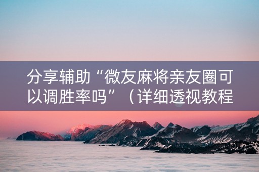 分享辅助“微友麻将亲友圈可以调胜率吗”（详细透视教程）-哔哩哔哩