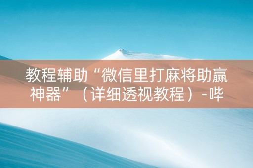 教程辅助“微信里打麻将助赢神器”（详细透视教程）-哔哩哔哩