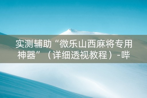 实测辅助“微乐山西麻将专用神器”（详细透视教程）-哔哩哔哩