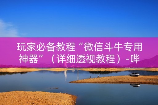 玩家必备教程“微信斗牛专用神器”（详细透视教程）-哔哩哔哩