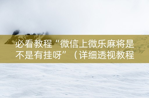 必看教程“微信上微乐麻将是不是有挂呀”（详细透视教程）-哔哩哔哩